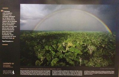 Visite de l'exposition Laudato Si à l'église Ste Thérèse